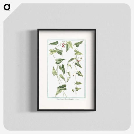 1-52_Hortus-Romanus-Botanical-Plates_blk