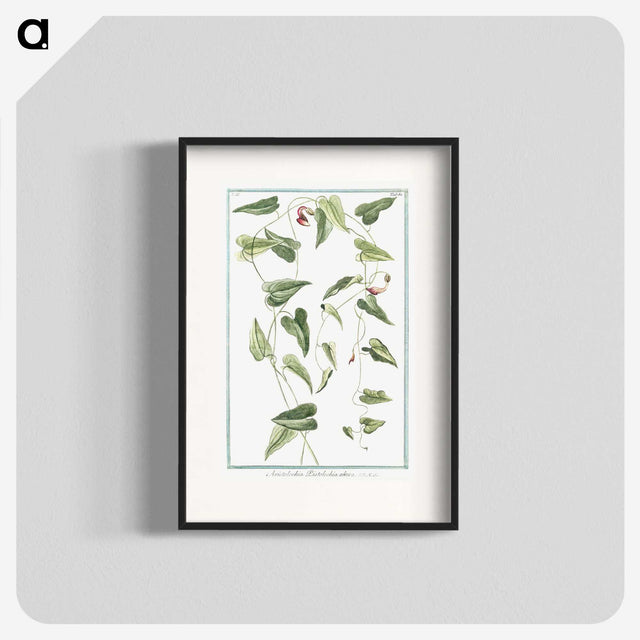 1-52_Hortus-Romanus-Botanical-Plates_blk