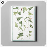 1-52_Hortus-Romanus-Botanical-Plates_canvas