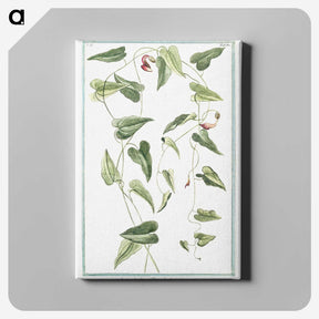 1-52_Hortus-Romanus-Botanical-Plates_canvas