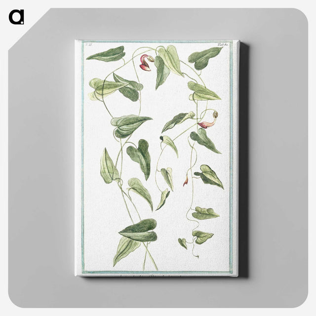 1-52_Hortus-Romanus-Botanical-Plates_canvas