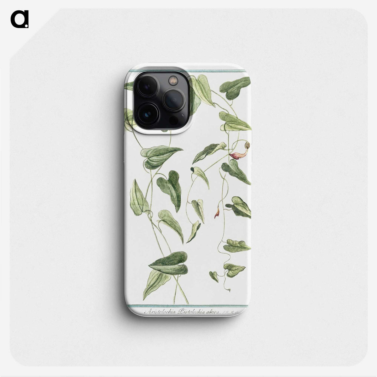 1-52_Hortus-Romanus-Botanical-Plates_phone