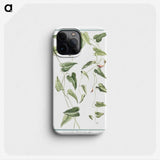 1-52_Hortus-Romanus-Botanical-Plates_phone