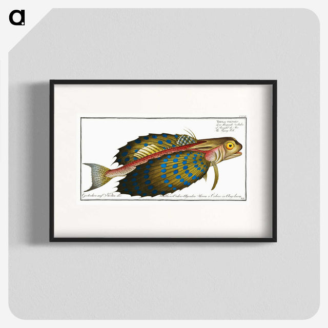 1-52_Ichtyologie-ou-Histoire-naturelle_blk