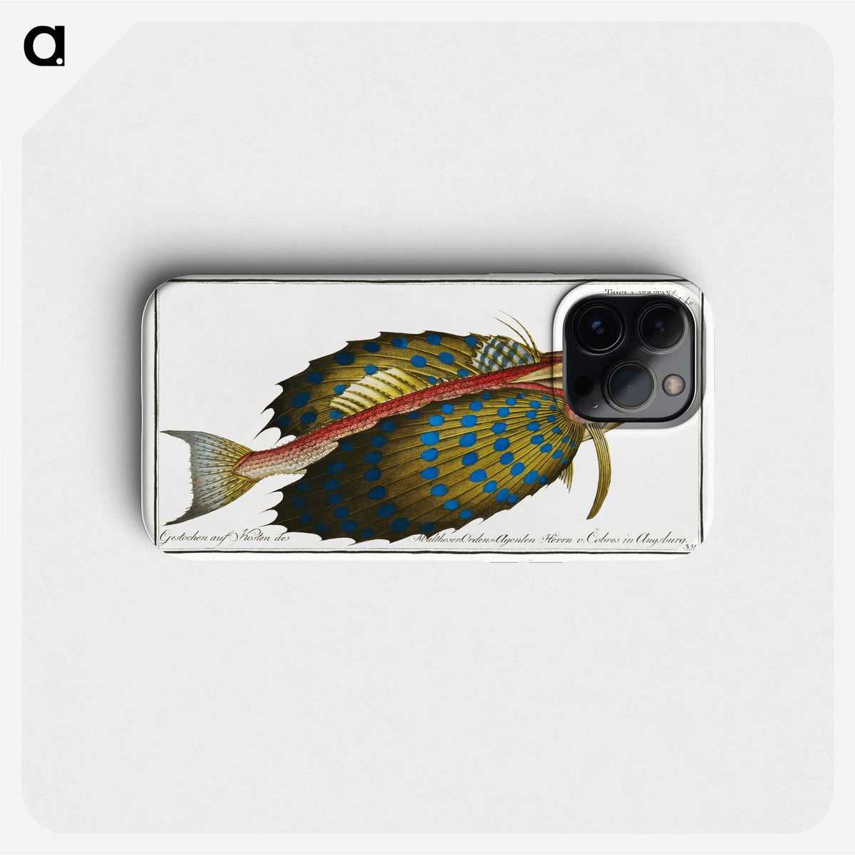 1-52_Ichtyologie-ou-Histoire-naturelle_phone