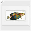 1-52_Ichtyologie-ou-Histoire-naturelle_picture