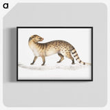 1-52_Indian-Zoology_blk-crop