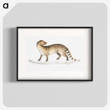 1-52_Indian-Zoology_blk