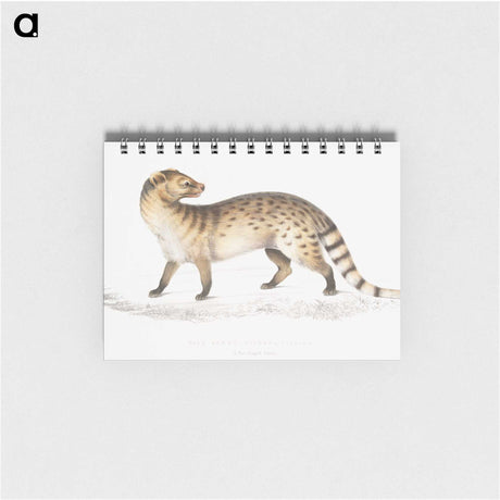 1-52_Indian-Zoology_memo