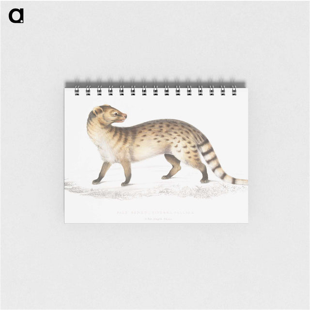 1-52_Indian-Zoology_memo
