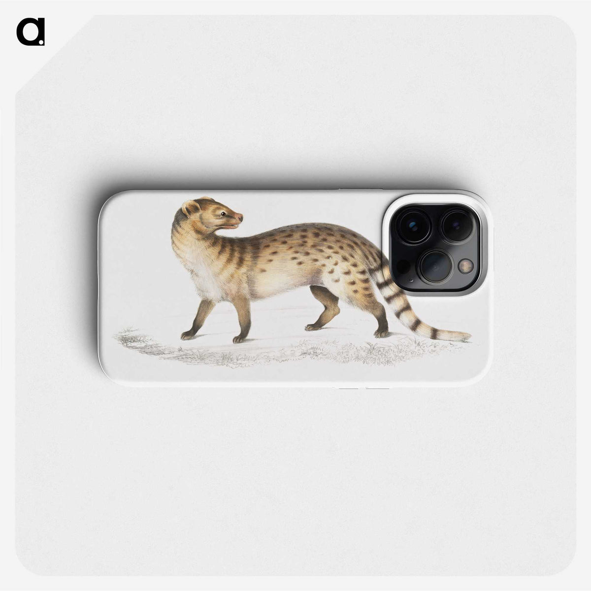 1-52_Indian-Zoology_phone
