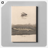 1-52_James-Heath_canvas