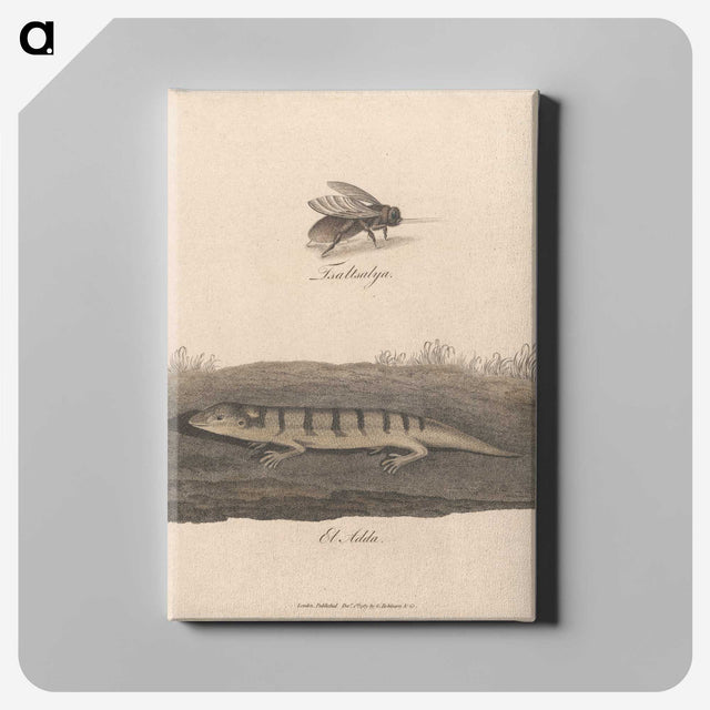 1-52_James-Heath_canvas