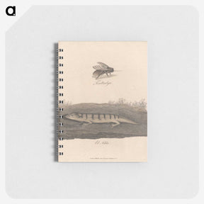 1-52_James-Heath_memo