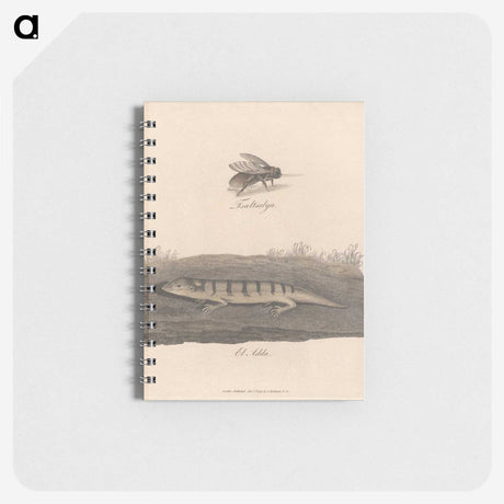 1-52_James-Heath_memo