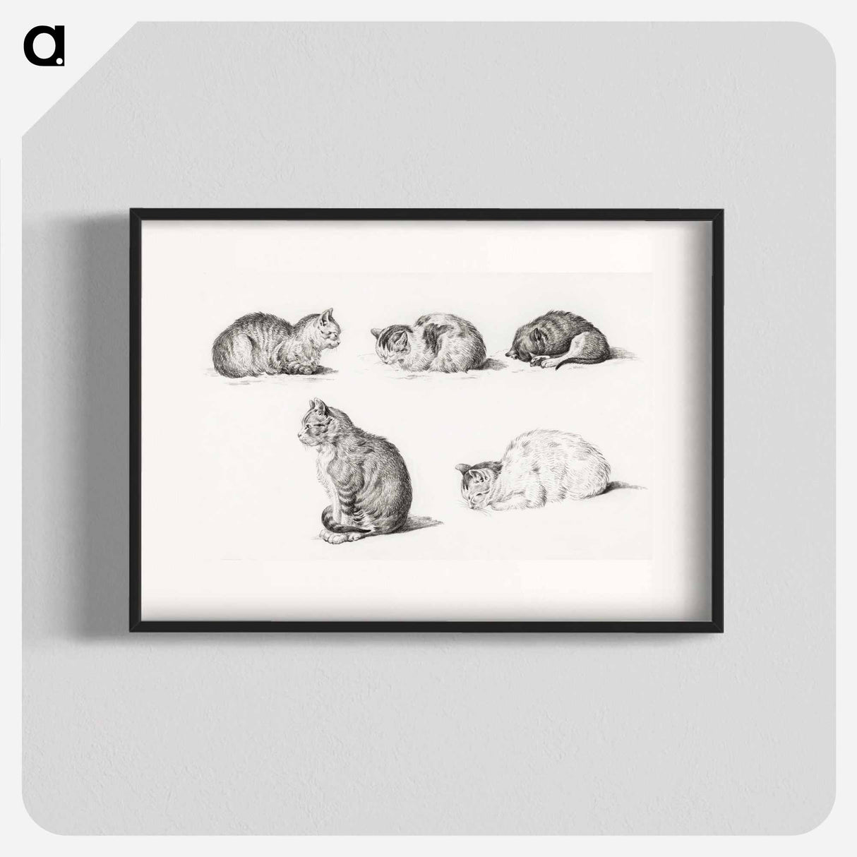 Five studies of Cats - Jean Bernard Poster.