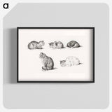 Five studies of Cats - Jean Bernard Poster.
