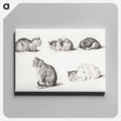 アートパネル-Five studies of Cats - ジャン ベルナール Canvas.