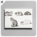 アートパネル-Five studies of Cats - ジャン ベルナール Canvas.