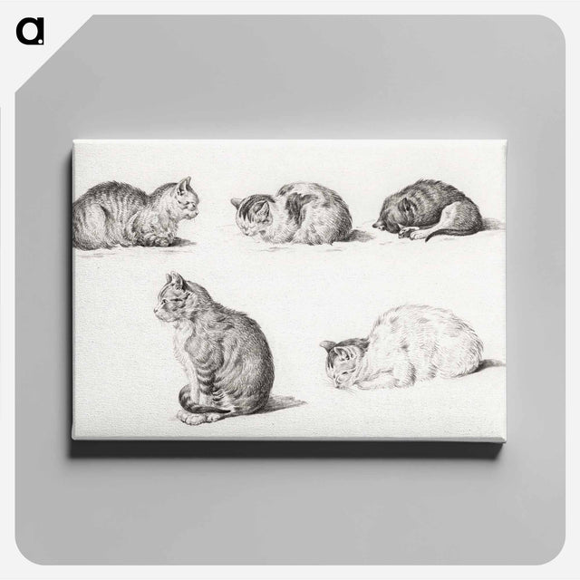 アートパネル-Five studies of Cats - ジャン ベルナール Canvas.