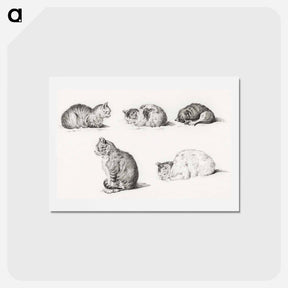 アートポストカード-Five studies of Cats - ジャン ベルナール Postcard.