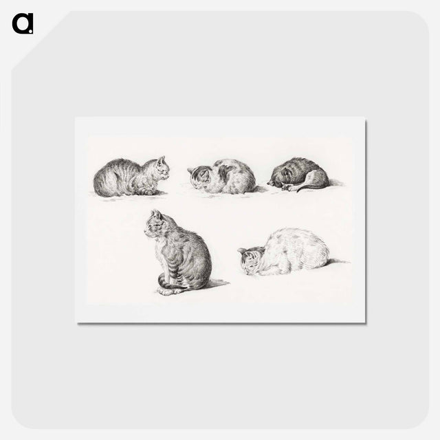 アートポストカード-Five studies of Cats - ジャン ベルナール Postcard.