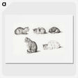 1-52_Jean-Bernard_picture