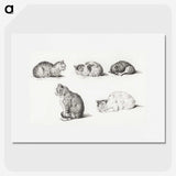 1-52_Jean-Bernard_picture