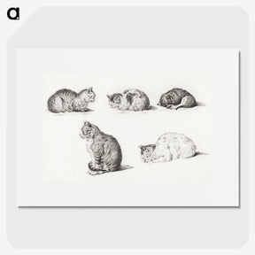 1-52_Jean-Bernard_picture