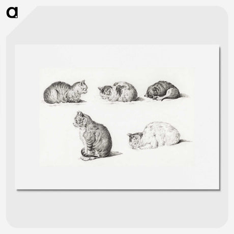 1-52_Jean-Bernard_picture