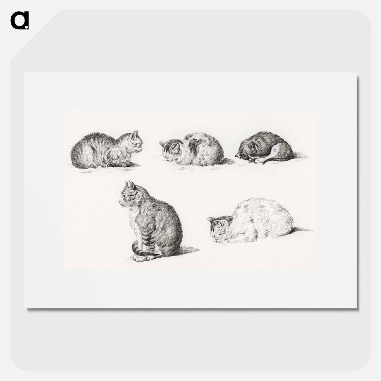 Five studies of Cats - ジャン ベルナール Poster.