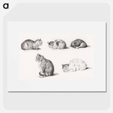 Five studies of Cats - Jean Bernard Poster.