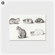 1-52_Jean-Bernard_postcard