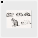 アートポストカード-Five studies of Cats - ジャン ベルナール Postcard.