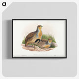 1-52_John-Gould_blk-crop