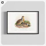 1-52_John-Gould_blk
