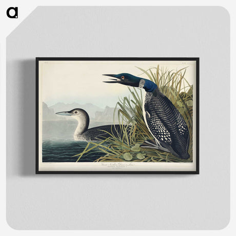1-52_John-James-Audubon_blk-crop