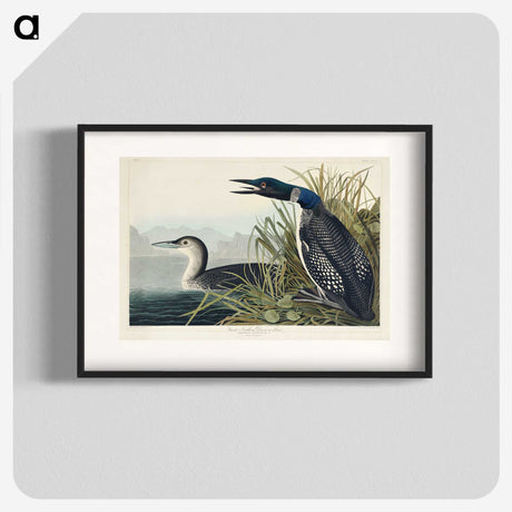 1-52_John-James-Audubon_blk