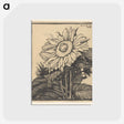 1-52_Julie-de-Graag_postcard