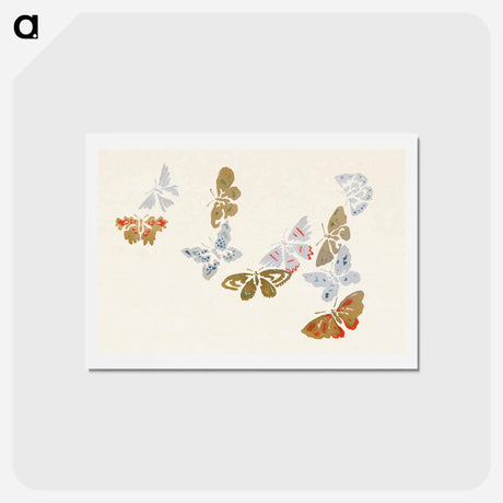 アートポストカード-Japanese butterfly - 神坂 雪佳 Postcard.