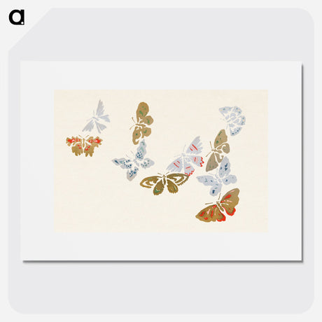 Kamisaka Sekka(神坂 雪華) - Japanese butterfly - 神坂 雪華 Poster. - artgraph.「アートをもっと気軽に」世界の名画やアート作品をポスターなど身近なアイテムにプリントして販売するサイト「artgraph.」ポスター、アートフレーム、スマホケース、ノート…etcなど多くの製品を用意しております。専属アーティストの作品もあり、ここだけしか買えないアートに出会えます。│