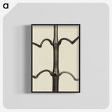 1-52_Karl-Blossfeldt_blk-crop