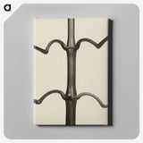 1-52_Karl-Blossfeldt_canvas