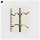 1-52_Karl-Blossfeldt_memo