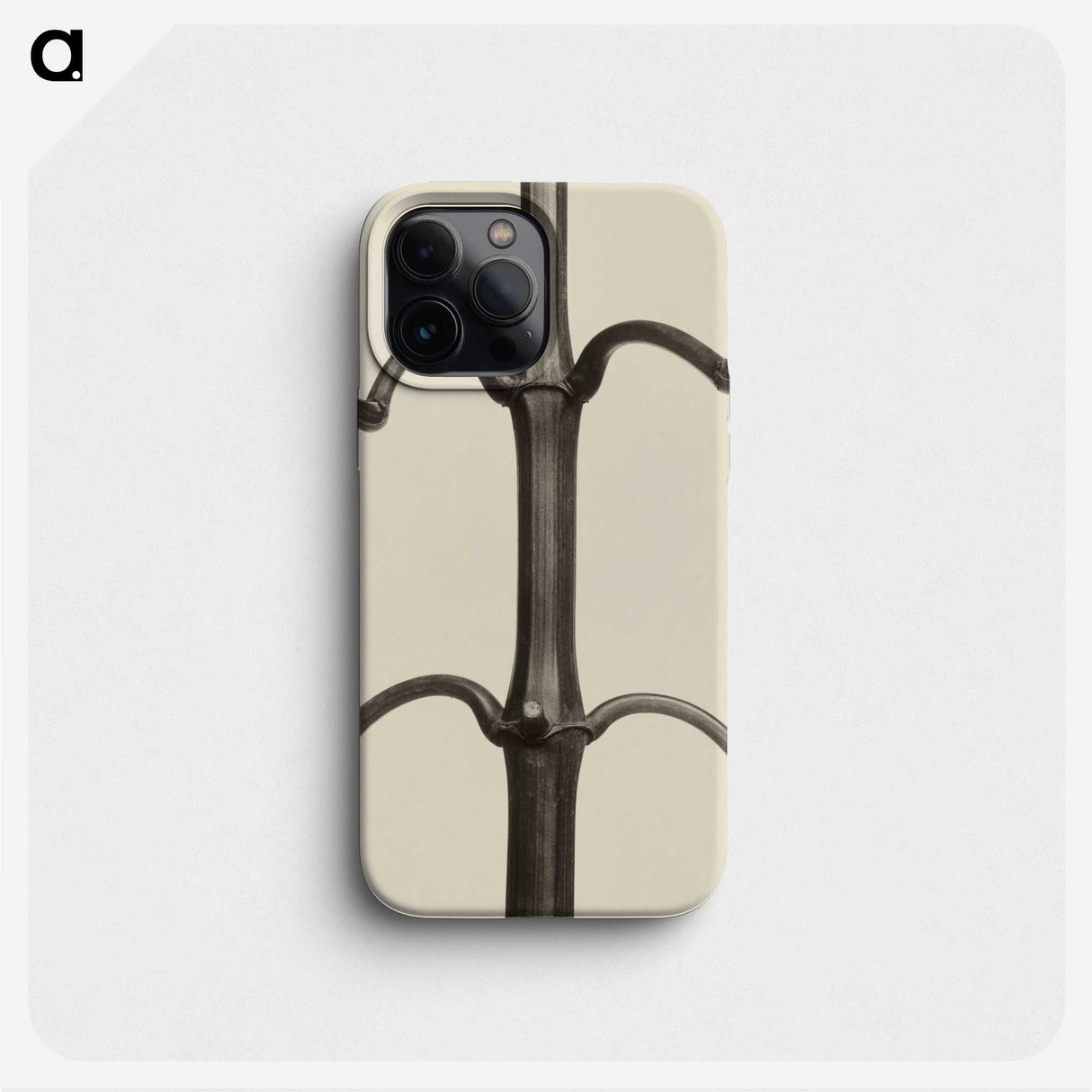 1-52_Karl-Blossfeldt_phone