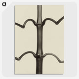 1-52_Karl-Blossfeldt_picture-crop