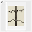 1-52_Karl-Blossfeldt_picture