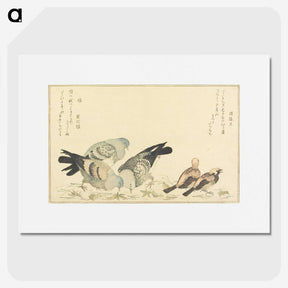 1-52_Kitagawa-Utamaro_picture