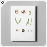 1-52_La-Botanique_canvas