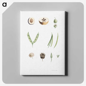 1-52_La-Botanique_canvas